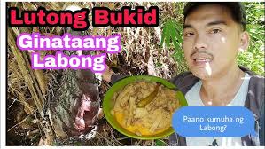 I cooked ginataang Labong