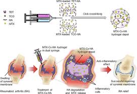 Year start date must be less than year end date. Injectable Click Crosslinked Hyaluronic Acid Depot To Prolong Therapeutic Activity In Articular Joints Affected By Rheumatoid Arthritis Acs Applied Materials Interfaces X Mol