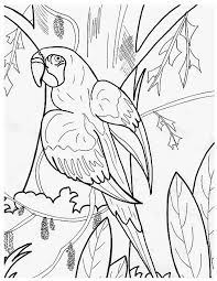 Perroquet 34 Animaux Coloriages A Imprimer Dibujos De Guacamayas Paginas Para Colorear Dibujos De Animales