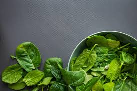 Check spelling or type a new query. 5 Benefits Of Growing Spinach Indoors Dreamy Home