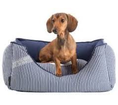 We tweet free bets and tips nba,nhl,mlb,soccer. Maritimes Hundebett Gemutliche Schlakoje Von Hunter