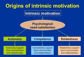 Pin On Intrinsic Motivation