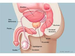 The most common first sign of recurrent prostate cancer is a rise in psa levels. Five Early Warnings Signs Of Prostate Cancer 09 22 By Partners In Health And Biz Health