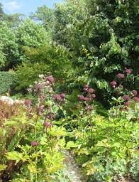 epingle sur les jardin sothys