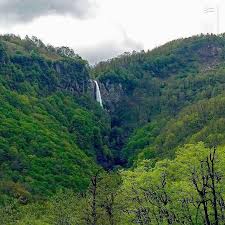 مشرق نیوز - عکس/ آبشاری زیبا در دِل جنگل‌های گیلان