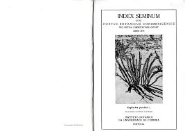 Image result for Grewia schmitzii