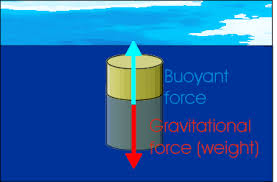 Image result for images Buoyancy and Archimedes Principle