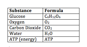 At the end of the cellular respiration, carbon dioxide and water are. What Is The Chemical Equation For Cellular Respiration Science Class 2021 Video Study Com