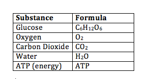 What is necessary for the krebs. What Is The Chemical Equation For Cellular Respiration Video Lesson Transcript Study Com