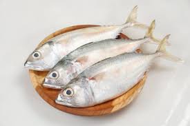 Image result for ikan