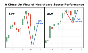 Healthy Bounce