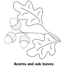 Leaf coloring page fruit coloring pages colouring pages coloring pages for kids adult coloring tree drawing for kids spring blooming trees white oak tree online coloring. Acorn Coloring Pages To Print Coloring Pages Ideas