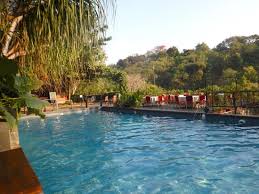 Kolam Renang Picture Of Oak Tree Emerald Semarang Hotel Tripadvisor