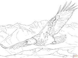 Supercoloring.com is a super fun for all ages: Bald Eagle Soaring Super Coloring Eagle Sketch Eagle Drawing Bird Coloring Pages
