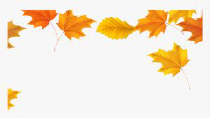 We did not find results for: Transparent Thanksgiving Leaves Png Autumn Leaves Transparent Background Png Download Kindpng
