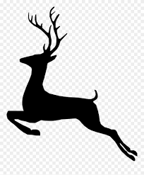 Instant download in svg, dxf, eps, jpg and png format. Clip Black And White Buck Vector Svg Deer Xmas Png Download 772208 Pinclipart
