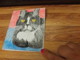 The cards clipped to dog kennels and cat cages usually include just a few descriptive words, but they could be the most important words you write all day. How To Make A Homemade Cat Card Hubpages