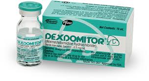 Dexdomitor Reliable Sedation For Dogs And Cats Zoetis Us