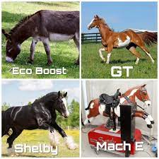 Mach E Meme S Ford Mustang Mach E Forum Macheforum Com