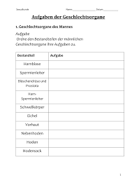Pin Auf Biologie Sekundarstufe Unterrichtsmaterialien
