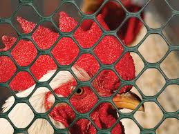 Castle building centres, helping people improve their world. Boundaries And Fencing Home Garden Products Tenax