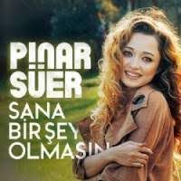 Pinar Suer Feat Heijan Anne Mp3 Indir Feat Heijan Anne Muzik Indir Dinle