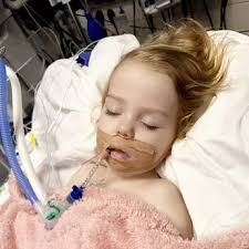 Celebrating Gateshead: From the Central Bar to Saltwell Park to Dunston  Staiths