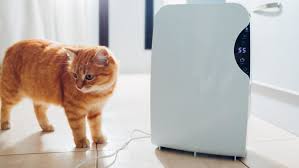 16 of the best air purifiers for pet owners. Best Air Purifiers For Pets 2021 Howtohome
