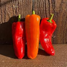 Image result for Krauseola