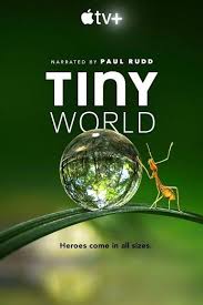 Leading up to his 2019 arrest, mysterious tycoon jeffrey epstein was accused of abusing women and underage girls for decades, assembling a network of enablers to help carry out and cover up his crimes. Ù…Ø´Ø§Ù‡Ø¯Ø© Ù…Ø³Ù„Ø³Ù„ Tiny World Ù…ÙˆØ³Ù… 1 Ø­Ù„Ù‚Ø© 1 Ù…Ø§ÙŠ Ø³ÙŠÙ…Ø§