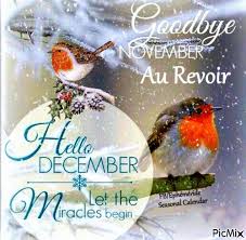 Image result for goodbye november hello december