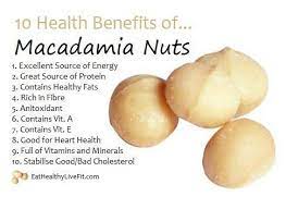 Macadamia Nuts Food Health Benefits Coconut Health Benefits Health Benefits
