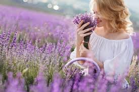 Al sinds de oudheid worden bloemen en planten, bomen en vruchten gebruikt om een ander op een subtiele wijze iets duidelijk te maken. Lavendelolie Wat Zijn De Beste Lavendelolies Van 2021 Allabouther