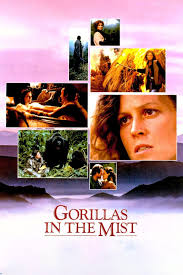 Gorillas in the Mist | Rotten Tomatoes