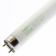 28w T8 48 Inch Daylight Fluorescent Tube Light Bulb Flo10396 At Batteries Plus Bulbs