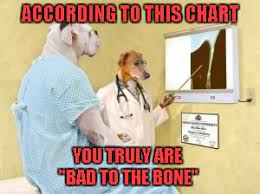 Dr Dog Memes Gifs Imgflip