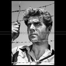 PHOTO F.019925 ROY SCHEIDER & LORRAINE GARY (JAWS) 1975 EUR 5,99