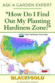 Massachusetts hardiness zones for selected cities and locations. I Do I Find Out My Planting Hardiness Zone Plant Hardiness Zone Map Plant Hardiness Zone Plants