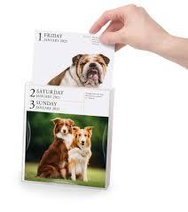 Dog pictures dog breeds labrador retriever united states gallery dogs animals life labrador retrievers. Dog Gallery 2021 Calendar Amazon De Workman Calendars Fremdsprachige Bucher