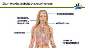 Wie Schadlich Ist Zigarillos Rauchen I Nichtraucherhelden