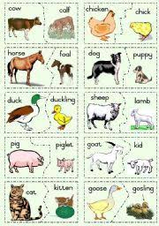 English Teaching Worksheets Farm Animals Farm Animals Preschool Baby Farm Animals Farm Animals Theme