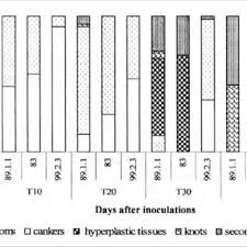 Image result for pseudomonas savastanoi pv nerii oleander symptoms