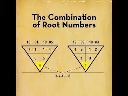 Numerology Calculator Numerologist Zone Numerologist Zone Dailynumerology Numerologycal Numerology Birth Date Numerology Calculation Numerology Life Path