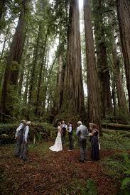 Cecilia And Craig S California Redwood Forest Wedding Redwood Forest Wedding Forest Wedding Venue Woodland Theme Wedding