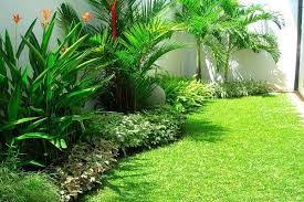 Image Result For Sri Lanka Landscape Design