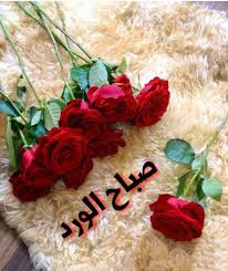 * على المصلي التقيد بما ورد عن النبي صلى الله عليه وسلم في صلاته ، قال النبي صلى الله عليه وسلم : ØµÙˆØ± ØµØ¨Ø§Ø­ Ø§Ù„ÙˆØ±Ø¯ ÙˆØ§Ù„ÙÙ„ ÙˆØ§Ù„ÙŠØ§Ø³Ù…ÙŠÙ† 2020