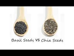 Get latest info on chia seed, salvia hispanica seed, suppliers, manufacturers, wholesalers, traders, wholesale suppliers with chia seed prices for buying. Ini Kebaikan Chia Seed Dan Khasiat Anda Perlu Tahu Sangat Bagus Untuk Ibu Mengandung Yoy Network