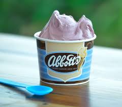 Abbotts Ice Cream In Buffalo Rochester Ny Bill Gray S