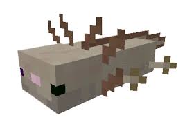Check spelling or type a new query. Mcpe Bedrock Axolotls Add On Minecraft Addons Mcbedrock Forum