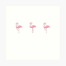 Flamingo flim flam merch t shirt hoodie & sweaters satisfaction guaranteed. Flamingo Plush Gifts Merchandise Redbubble